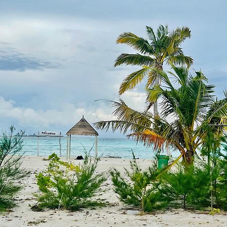 La Isla Tropica Hotel Guraidhoo  Exterior foto