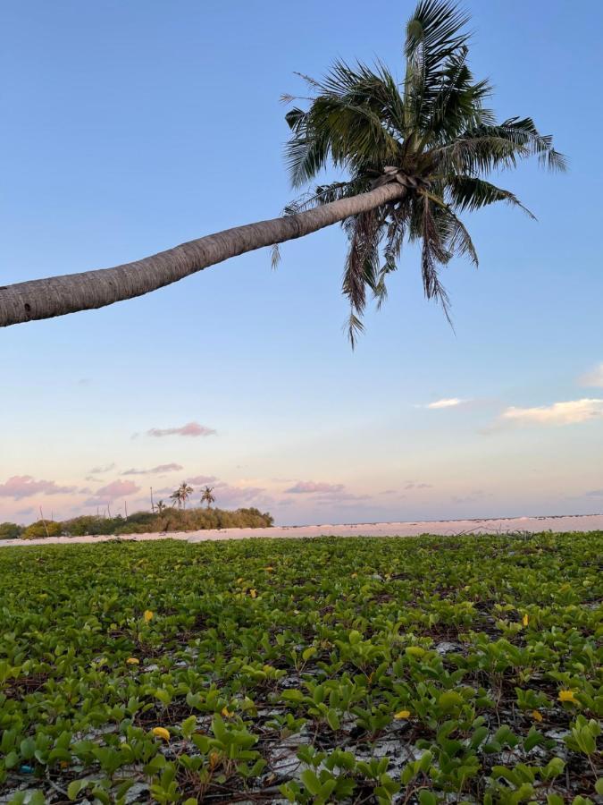 La Isla Tropica Hotel Guraidhoo  Exterior foto