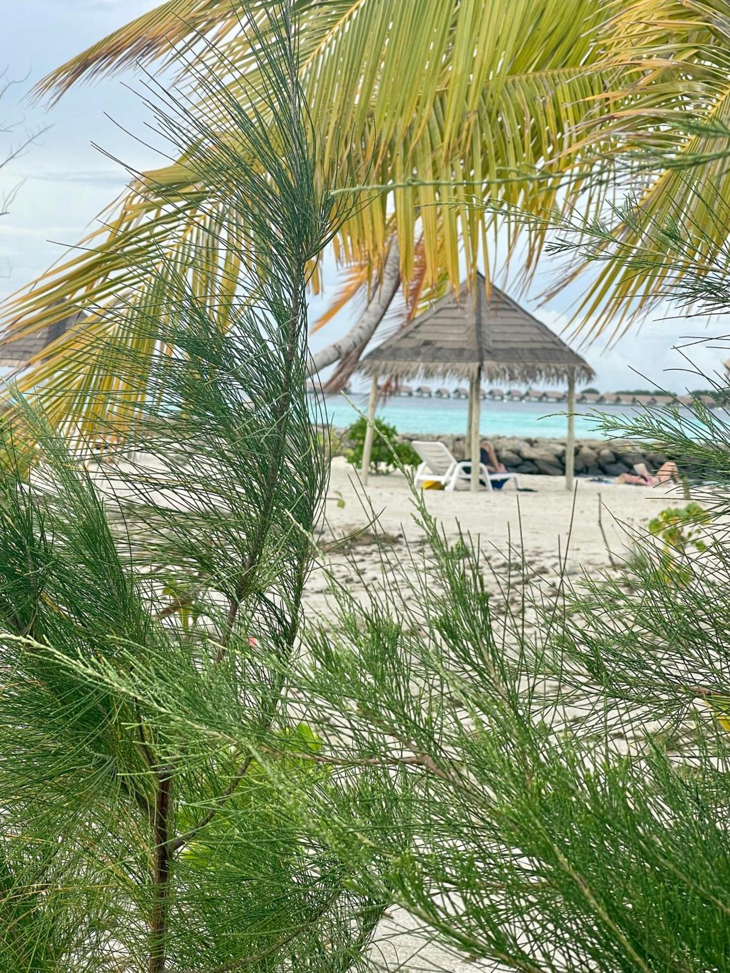 La Isla Tropica Hotel Guraidhoo  Exterior foto