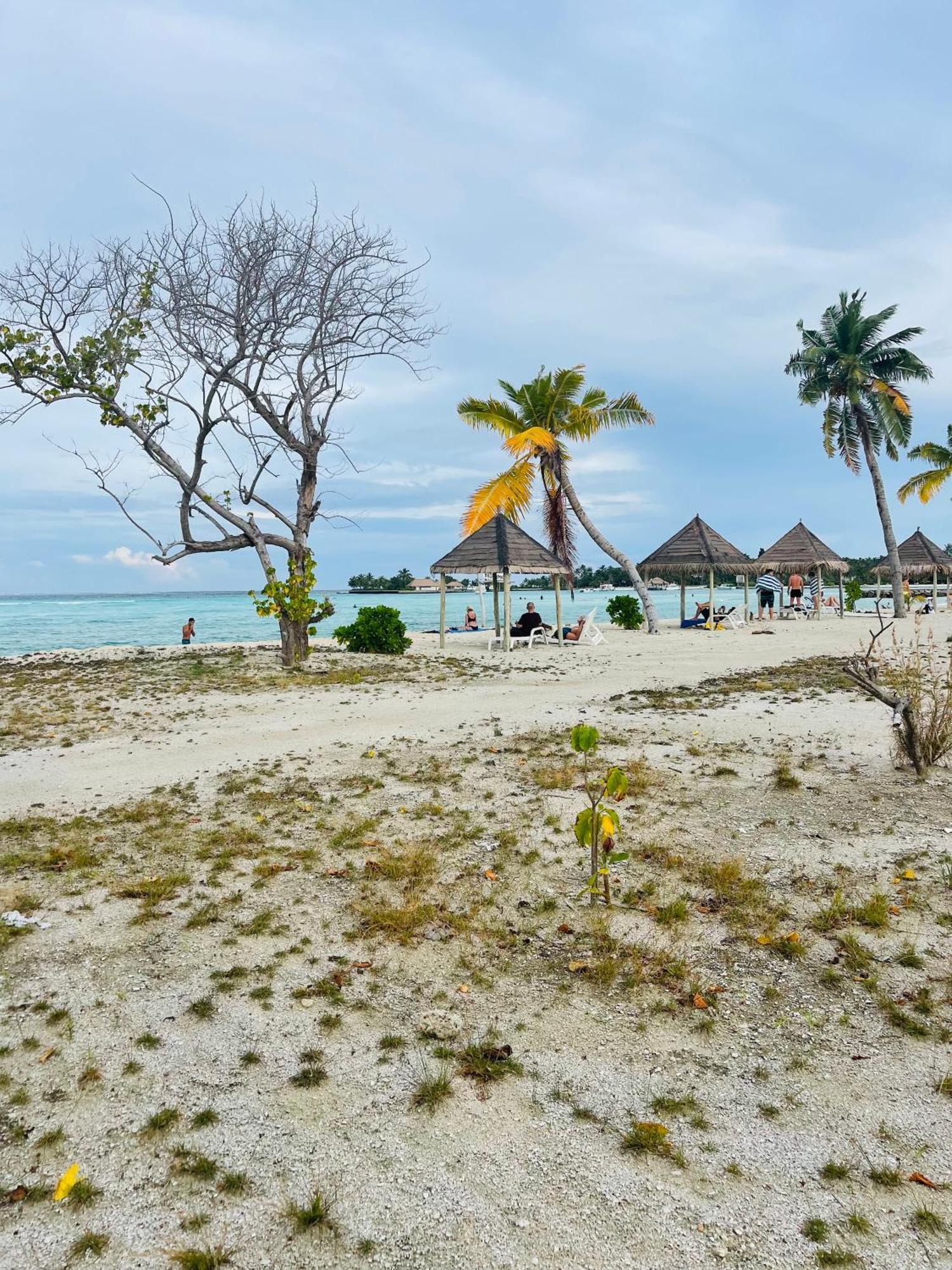 La Isla Tropica Hotel Guraidhoo  Exterior foto